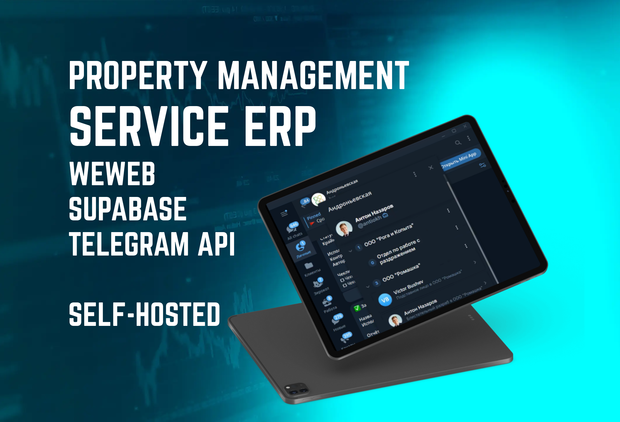 Andronyevskaya ERP interface