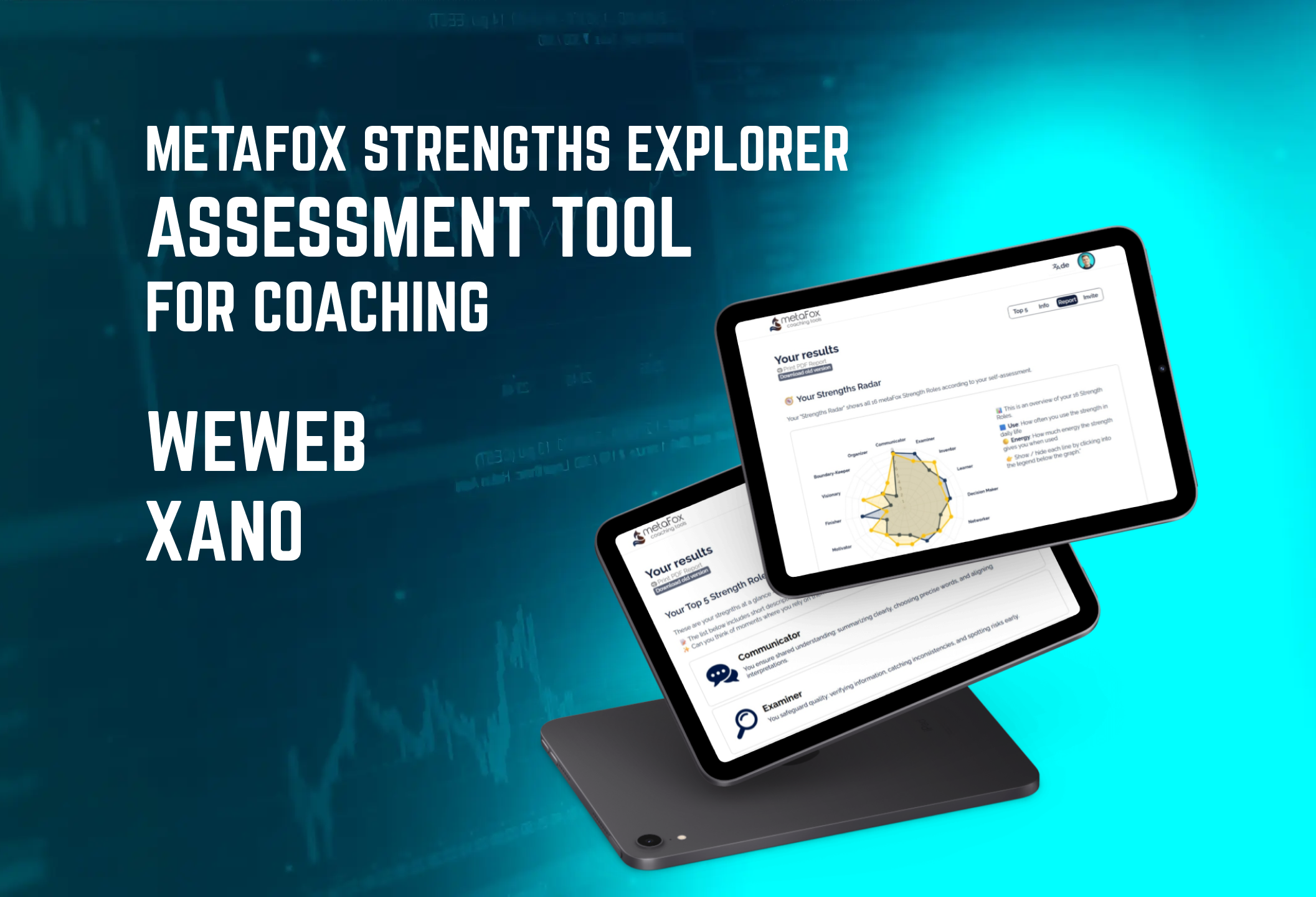 MetaFox Strengths Explorer interface
